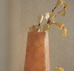 collection-img